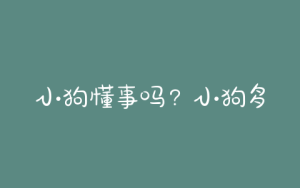 小狗懂事吗？小狗多大才会懂事啊-警犬训练器材厂家 _警犬训练用品_工作犬训练用品-南京开久警犬装备