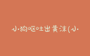 小狗呕吐出黄沫(小狗呕吐尿黄不吃饭)-警犬训练器材厂家 _警犬训练用品_工作犬训练用品-南京开久警犬装备