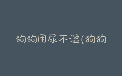 狗狗用尿不湿(狗狗用尿不湿拉屎怎么办) - 警犬训练器材厂家 _警犬训练用品_工作犬训练用品-南京开久警犬装备-警犬训练器材厂家 _警犬训练用品_工作犬训练用品-南京开久警犬装备