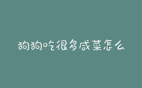 狗狗吃很多咸菜怎么办？狗狗吃了很多纸怎么办 - 警犬训练器材厂家 _警犬训练用品_工作犬训练用品-南京开久警犬装备-警犬训练器材厂家 _警犬训练用品_工作犬训练用品-南京开久警犬装备