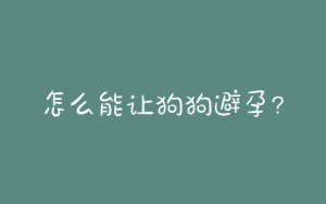 怎么能让狗狗避孕？不吃药怎么能避孕-警犬训练器材厂家 _警犬训练用品_工作犬训练用品-南京开久警犬装备