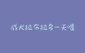 成犬拉布拉多一天喂多少狗粮合适，拉布拉多成犬一天喂一次可以吗-警犬训练器材厂家 _警犬训练用品_工作犬训练用品-南京开久警犬装备