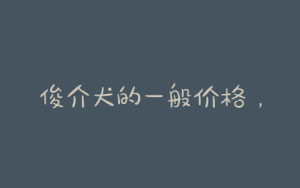 俊介犬的一般价格，小俊介犬价格-警犬训练器材厂家 _警犬训练用品_工作犬训练用品-南京开久警犬装备