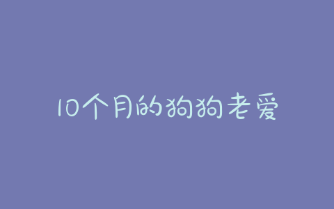 10个月的狗狗老爱睡觉怎么回事啊 - 警犬训练器材厂家 _警犬训练用品_工作犬训练用品-南京开久警犬装备-警犬训练器材厂家 _警犬训练用品_工作犬训练用品-南京开久警犬装备