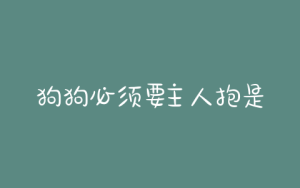 狗狗必须要主人抱是怎么回事-警犬训练器材厂家 _警犬训练用品_工作犬训练用品-南京开久警犬装备