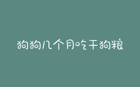 狗狗几个月吃干狗粮(狗狗几个月可以吃硬狗粮) - 警犬训练器材厂家 _警犬训练用品_工作犬训练用品-南京开久警犬装备-警犬训练器材厂家 _警犬训练用品_工作犬训练用品-南京开久警犬装备
