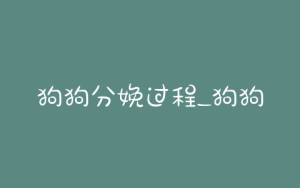 狗狗分娩过程_狗狗分娩过程注意事项-警犬训练器材厂家 _警犬训练用品_工作犬训练用品-南京开久警犬装备