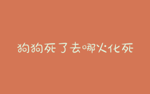 狗狗死了去哪火化死后处理有哪些规定-警犬训练器材厂家 _警犬训练用品_工作犬训练用品-南京开久警犬装备