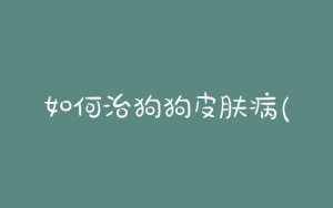 如何治狗狗皮肤病(狗狗皮肤病好治吗)-警犬训练器材厂家 _警犬训练用品_工作犬训练用品-南京开久警犬装备