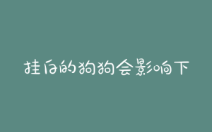 挂白的狗狗会影响下一代吗-警犬训练器材厂家 _警犬训练用品_工作犬训练用品-南京开久警犬装备