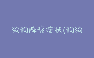 狗狗阵痛症状(狗狗肚子阵痛)-警犬训练器材厂家 _警犬训练用品_工作犬训练用品-南京开久警犬装备