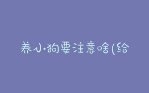 养小狗要注意啥(给小狗洗澡注意啥)-警犬训练器材厂家 _警犬训练用品_工作犬训练用品-南京开久警犬装备