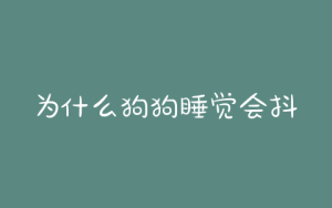 为什么狗狗睡觉会抖？狗狗睡觉为什么腿会抖-警犬训练器材厂家 _警犬训练用品_工作犬训练用品-南京开久警犬装备