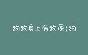 狗狗身上有狗屎(狗狗吃自己的狗屎是因为什么)-警犬训练器材厂家 _警犬训练用品_工作犬训练用品-南京开久警犬装备