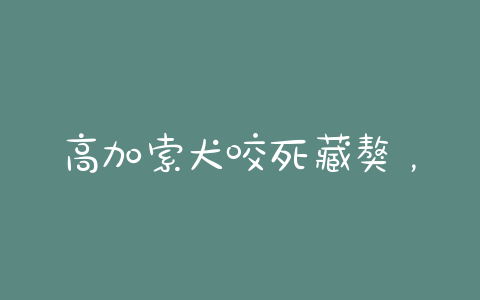 高加索犬咬死藏獒,藏獒大战高加索犬却被咬死 - 警犬训练器材厂家 _警犬训练用品_工作犬训练用品-南京开久警犬装备-警犬训练器材厂家 _警犬训练用品_工作犬训练用品-南京开久警犬装备
