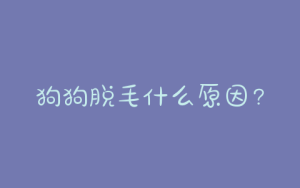 狗狗脱毛什么原因？狗狗冬季脱毛什么原因-警犬训练器材厂家 _警犬训练用品_工作犬训练用品-南京开久警犬装备