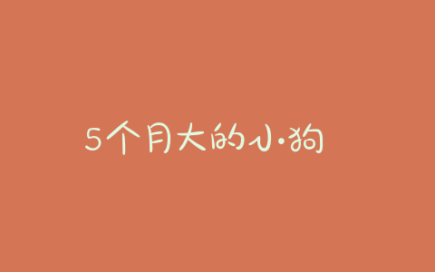 5个月大的小狗 5个月大的小狗怎么养 - 警犬训练器材厂家 _警犬训练用品_工作犬训练用品-南京开久警犬装备-警犬训练器材厂家 _警犬训练用品_工作犬训练用品-南京开久警犬装备