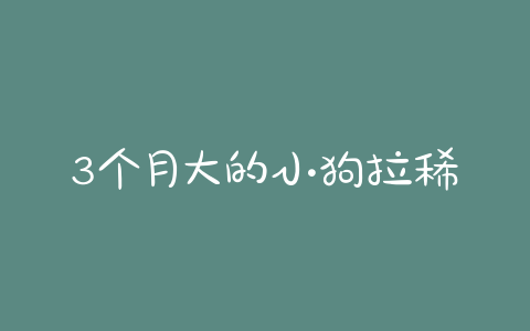3个月大的小狗拉稀拉血 - 警犬训练器材厂家 _警犬训练用品_工作犬训练用品-南京开久警犬装备-警犬训练器材厂家 _警犬训练用品_工作犬训练用品-南京开久警犬装备