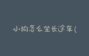 小狗怎么坐长途车(小狗坐长途车后一直吐水)-警犬训练器材厂家 _警犬训练用品_工作犬训练用品-南京开久警犬装备