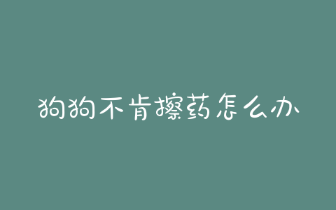 狗狗不肯擦药怎么办?狗狗不肯擦脚有什么办法 - 警犬训练器材厂家 _警犬训练用品_工作犬训练用品-南京开久警犬装备-警犬训练器材厂家 _警犬训练用品_工作犬训练用品-南京开久警犬装备
