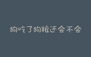 狗吃了狗粮还会不会吃饭_泰迪狗不吃狗粮吃饭可以吗-警犬训练器材厂家 _警犬训练用品_工作犬训练用品-南京开久警犬装备