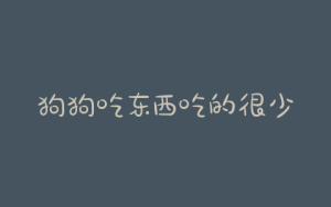 狗狗吃东西吃的很少，狗狗最近吃东西很少-警犬训练器材厂家 _警犬训练用品_工作犬训练用品-南京开久警犬装备