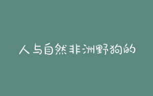 人与自然非洲野狗的生活，人与自然非洲野狗家族-警犬训练器材厂家 _警犬训练用品_工作犬训练用品-南京开久警犬装备