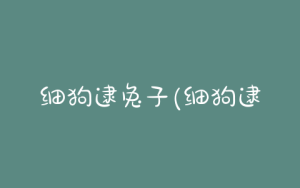 细狗逮兔子(细狗逮兔子犯罪吗)-警犬训练器材厂家 _警犬训练用品_工作犬训练用品-南京开久警犬装备