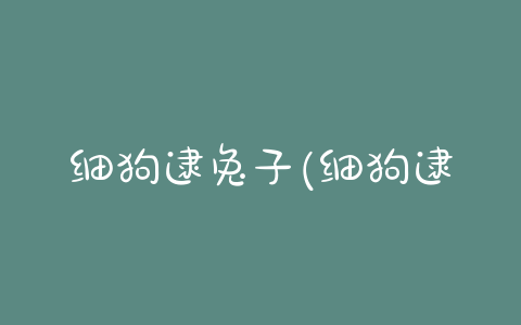 细狗逮兔子(细狗逮兔子犯罪吗) - 警犬训练器材厂家 _警犬训练用品_工作犬训练用品-南京开久警犬装备-警犬训练器材厂家 _警犬训练用品_工作犬训练用品-南京开久警犬装备