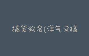 搞笑狗名(洋气又搞笑的狗名)-警犬训练器材厂家 _警犬训练用品_工作犬训练用品-南京开久警犬装备