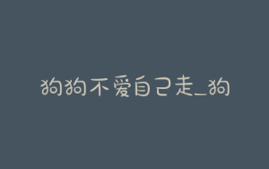 狗狗不爱自己走_狗狗自己走了预示什么-警犬训练器材厂家 _警犬训练用品_工作犬训练用品-南京开久警犬装备