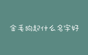 金毛狗起什么名字好听?金毛狗取什么名字好听啊?是公的-警犬训练器材厂家 _警犬训练用品_工作犬训练用品-南京开久警犬装备