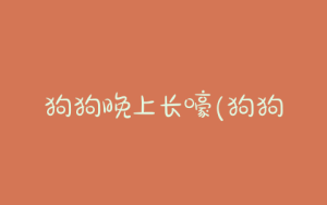 狗狗晚上长嚎(狗狗晚上哭嚎是什么原因)-警犬训练器材厂家 _警犬训练用品_工作犬训练用品-南京开久警犬装备