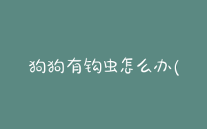 狗狗有钩虫怎么办(猫咪有钩虫怎么办)-警犬训练器材厂家 _警犬训练用品_工作犬训练用品-南京开久警犬装备