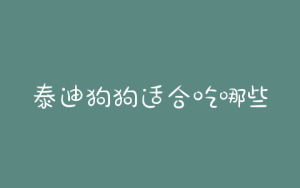 泰迪狗狗适合吃哪些东西(泰迪狗狗的名字有哪些)-警犬训练器材厂家 _警犬训练用品_工作犬训练用品-南京开久警犬装备