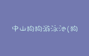 中山狗狗游泳池(狗狗喝了游泳池的水)-警犬训练器材厂家 _警犬训练用品_工作犬训练用品-南京开久警犬装备