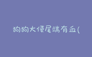 狗狗大便尾端有血(狗狗大便最后一点带血)-警犬训练器材厂家 _警犬训练用品_工作犬训练用品-南京开久警犬装备