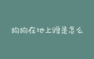 狗狗在地上蹭是怎么回事？狗狗在地上蹭鼻子是怎么回事-警犬训练器材厂家 _警犬训练用品_工作犬训练用品-南京开久警犬装备