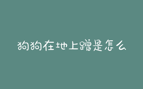 狗狗在地上蹭是怎么回事？狗狗在地上蹭鼻子是怎么回事 - 警犬训练器材厂家 _警犬训练用品_工作犬训练用品-南京开久警犬装备-警犬训练器材厂家 _警犬训练用品_工作犬训练用品-南京开久警犬装备