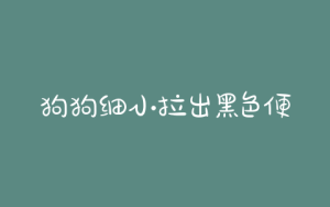 狗狗细小拉出黑色便便，狗狗细小拉褐色便便是好转吗-警犬训练器材厂家 _警犬训练用品_工作犬训练用品-南京开久警犬装备
