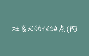 杜高犬的优缺点(阿根廷杜高犬优缺点)-警犬训练器材厂家 _警犬训练用品_工作犬训练用品-南京开久警犬装备