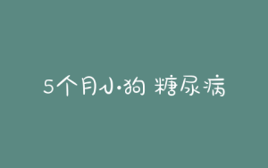 5个月小狗 糖尿病(5个月小狗糖尿病)-警犬训练器材厂家 _警犬训练用品_工作犬训练用品-南京开久警犬装备