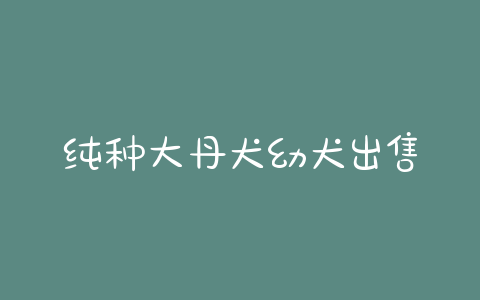 纯种大丹犬幼犬出售(大丹犬 *** 幼犬多少钱一只) - 警犬训练器材厂家 _警犬训练用品_工作犬训练用品-南京开久警犬装备-警犬训练器材厂家 _警犬训练用品_工作犬训练用品-南京开久警犬装备