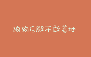 狗狗后腿不敢着地 食欲不行-警犬训练器材厂家 _警犬训练用品_工作犬训练用品-南京开久警犬装备