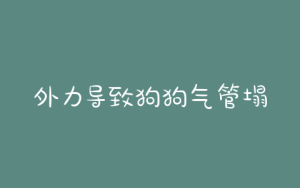 外力导致狗狗气管塌陷-警犬训练器材厂家 _警犬训练用品_工作犬训练用品-南京开久警犬装备
