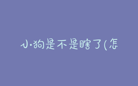 小狗是不是瞎了(怎么知道小狗是不是要生了) - 警犬训练器材厂家 _警犬训练用品_工作犬训练用品-南京开久警犬装备-警犬训练器材厂家 _警犬训练用品_工作犬训练用品-南京开久警犬装备