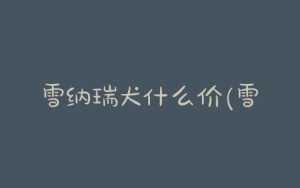 雪纳瑞犬什么价(雪纳瑞犬爱吃什么)-警犬训练器材厂家 _警犬训练用品_工作犬训练用品-南京开久警犬装备