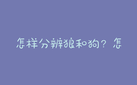 怎样分辨狼和狗?怎么分辨狼和狗 尾巴 - 警犬训练器材厂家 _警犬训练用品_工作犬训练用品-南京开久警犬装备-警犬训练器材厂家 _警犬训练用品_工作犬训练用品-南京开久警犬装备