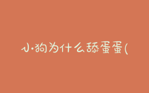 小狗为什么舔蛋蛋(为什么小狗只有一个蛋蛋)-警犬训练器材厂家 _警犬训练用品_工作犬训练用品-南京开久警犬装备