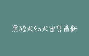 黑狼犬幼犬出售最新价格行情  纯种黑狼犬幼犬出售-警犬训练器材厂家 _警犬训练用品_工作犬训练用品-南京开久警犬装备